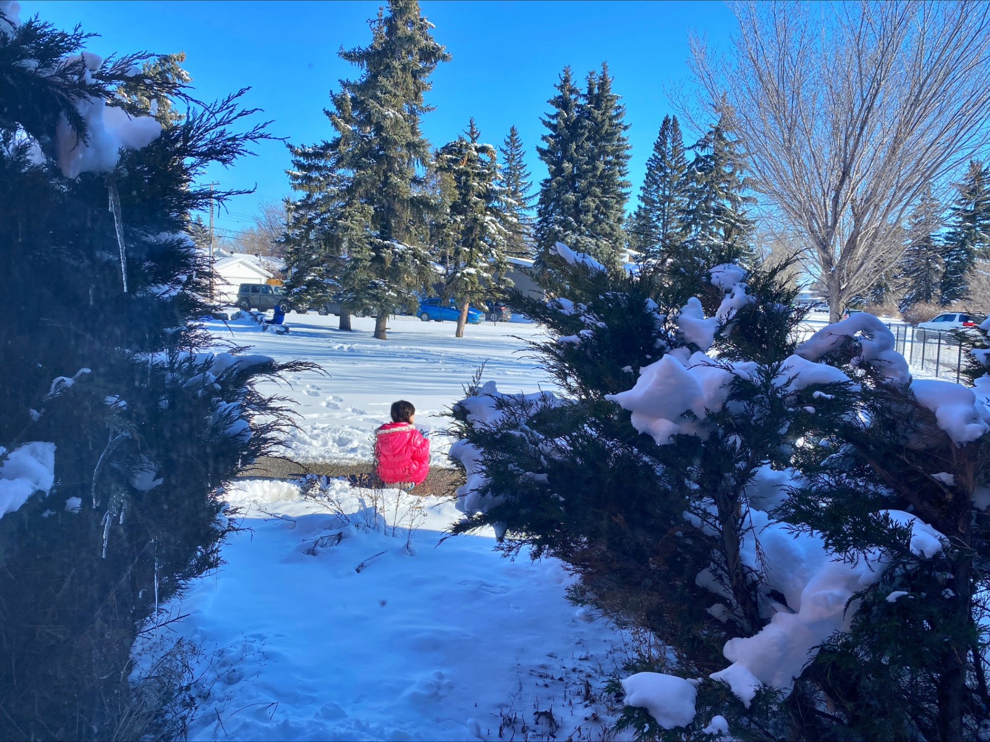 Winter Student Journaling